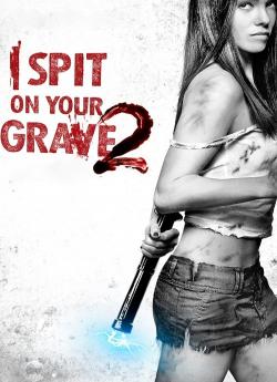 I Spit on Your Grave 2 flemmix