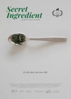 The Secret Ingredient flemmix