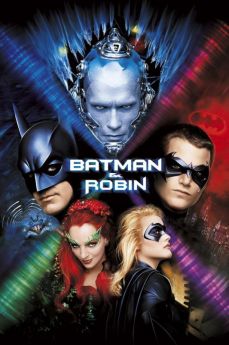 Batman & Robin flemmix