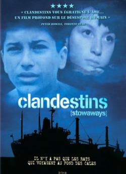 Clandestins flemmix