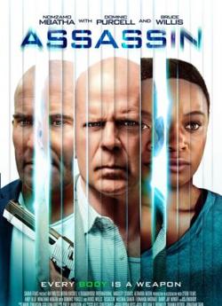 Assassin (2023) flemmix
