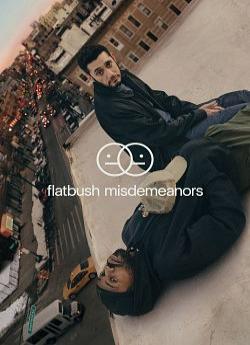Flatbush Misdemeanors - Saison 2 flemmix