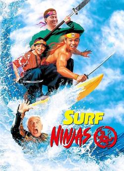 Les Fous du surf ninjas flemmix