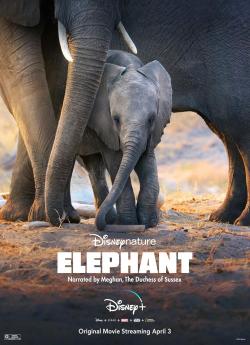 Éléphants flemmix