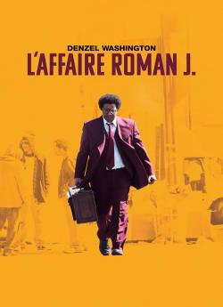 L'Affaire Roman J. flemmix