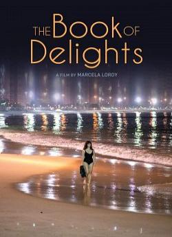 The Book of Delights flemmix