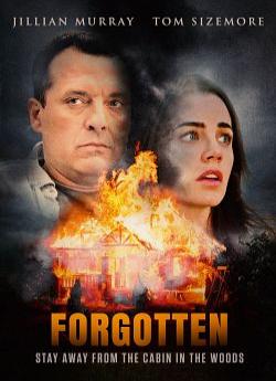 Forgotten flemmix