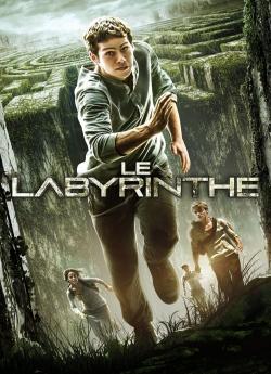Le Labyrinthe flemmix
