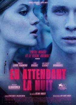 En Attendant La Nuit flemmix