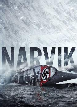 Narvik flemmix