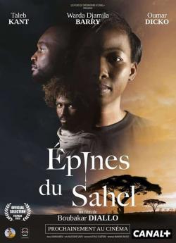 Épines du Sahel flemmix