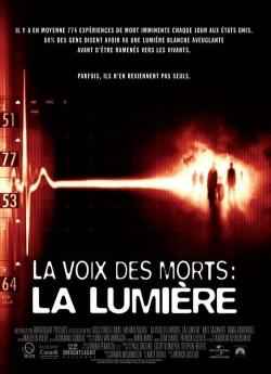 La Voix des morts : la lumière flemmix