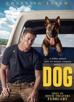 Dog (2022) flemmix