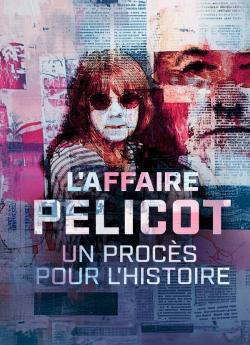 L'affaire Pelicot un procès pour l'histoire flemmix