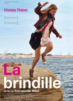 La Brindille flemmix