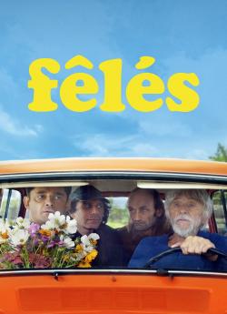 Fêlés flemmix