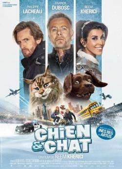 Chien et Chat flemmix
