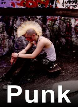 Punk flemmix