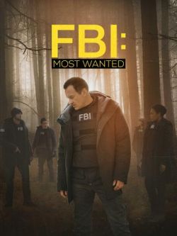 FBI : Most Wanted - Saison 2 flemmix