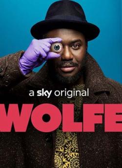 Wolfe - Saison 1 flemmix