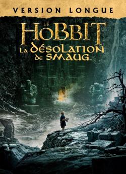 Le Hobbit : la Désolation de Smaug (Version Longue) flemmix