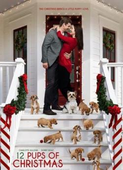 12 chiots pour Noël flemmix
