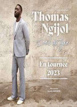 Thomas Ngijol : L'oeil du tigre flemmix