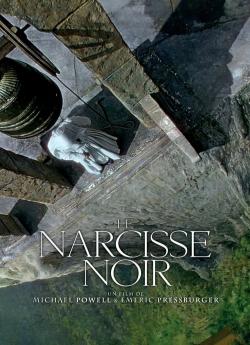 Le Narcisse noir flemmix