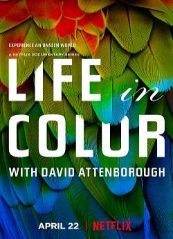 La Vie en couleurs avec David Attenborough - Saison 1 flemmix