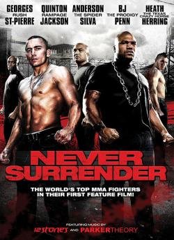 Never Surrender flemmix