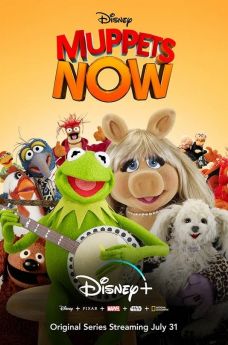 Le Nouveau Muppet Show - Saison 1 flemmix