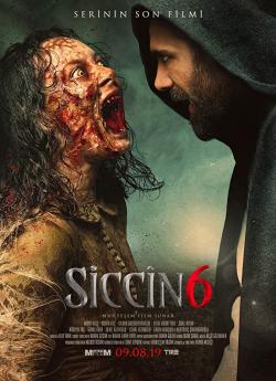 Siccin 6 flemmix