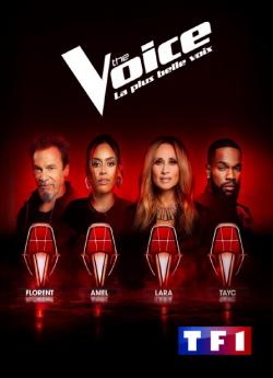 The Voice : La Plus Belle Voix - Saison 15 wiflix
