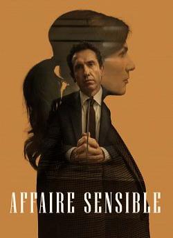 Affaire sensible flemmix
