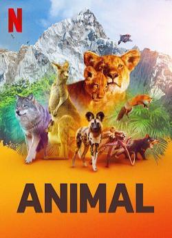 Le Règne animal - Saison 1 flemmix