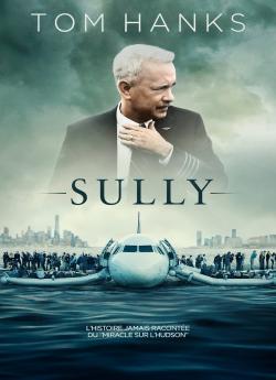 Sully flemmix