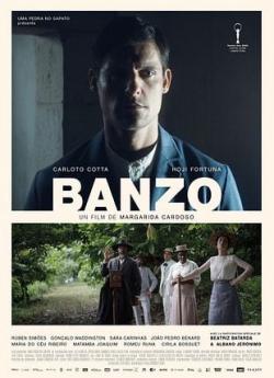 Banzo flemmix