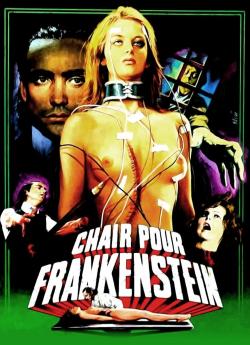 Chair pour Frankenstein flemmix