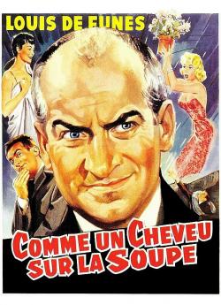 Comme un cheveu sur la soupe flemmix