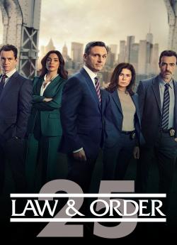 New York Police Judiciaire - Saison 25 flemmix