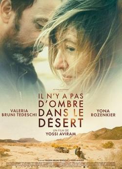 Il n'y a pas d'ombre dans le désert flemmix