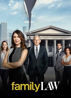 Family Law - Saison 2 flemmix
