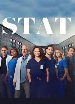STAT (2022) - Saison 1 flemmix