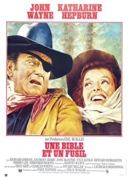 Une Bible et un fusil flemmix