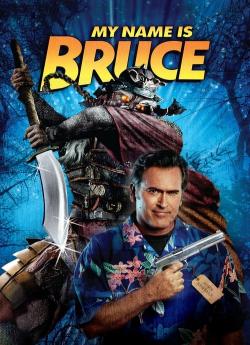 My Name Is Bruce flemmix