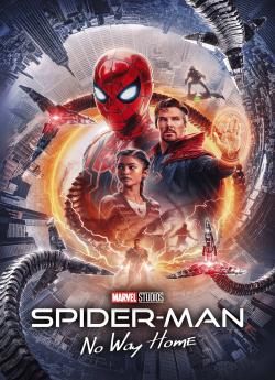 Spider-Man: No Way Home (Version longue)