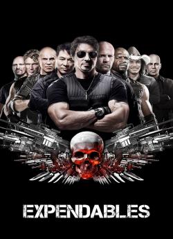 Expendables : unité spéciale flemmix
