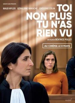 Toi non plus tu n'as rien vu flemmix