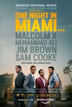One Night In Miami flemmix