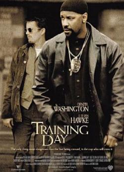 Training Day flemmix
